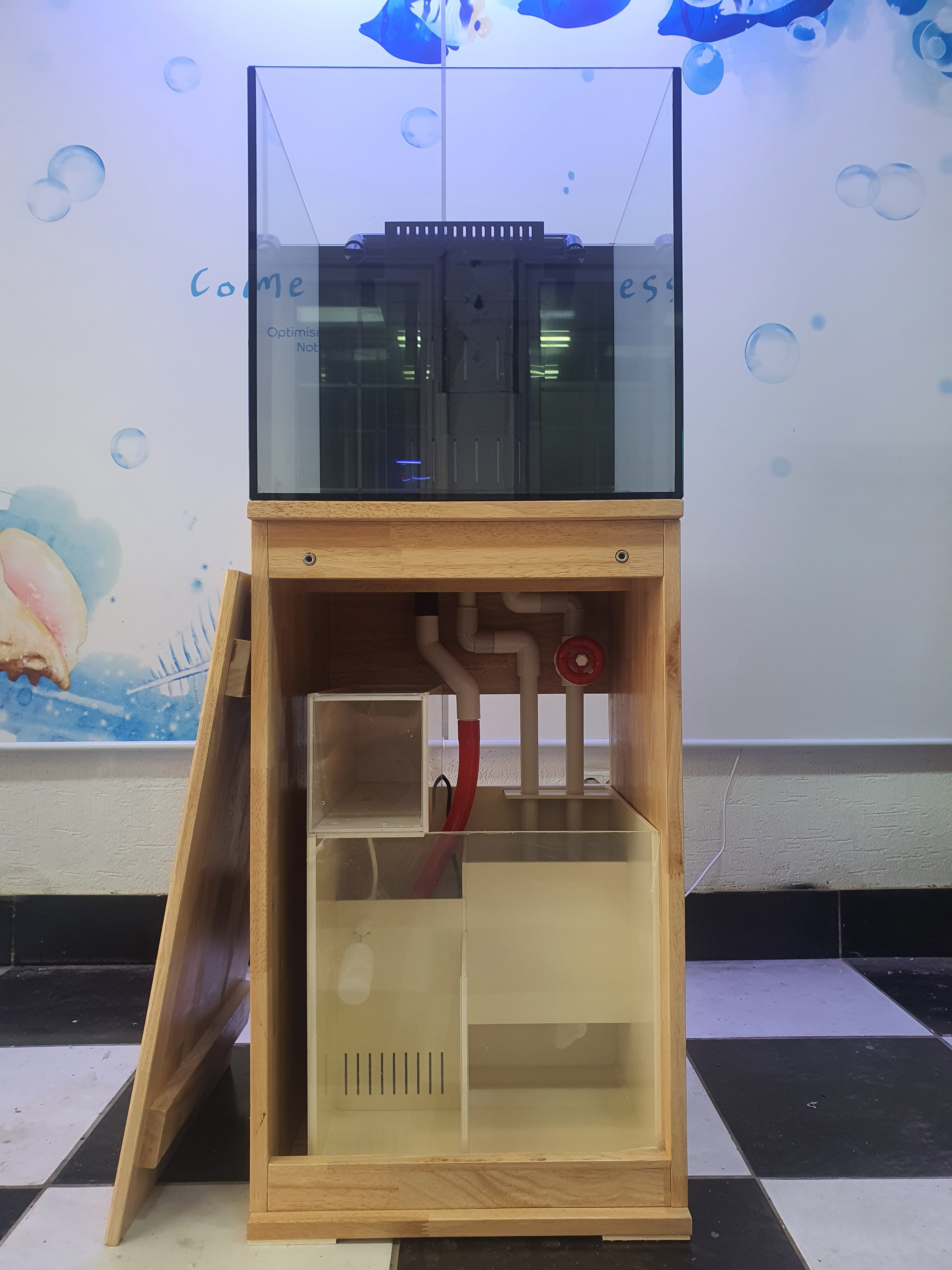 45큐브 하단섬프 해수어항 니모키우기 : 푸른수조