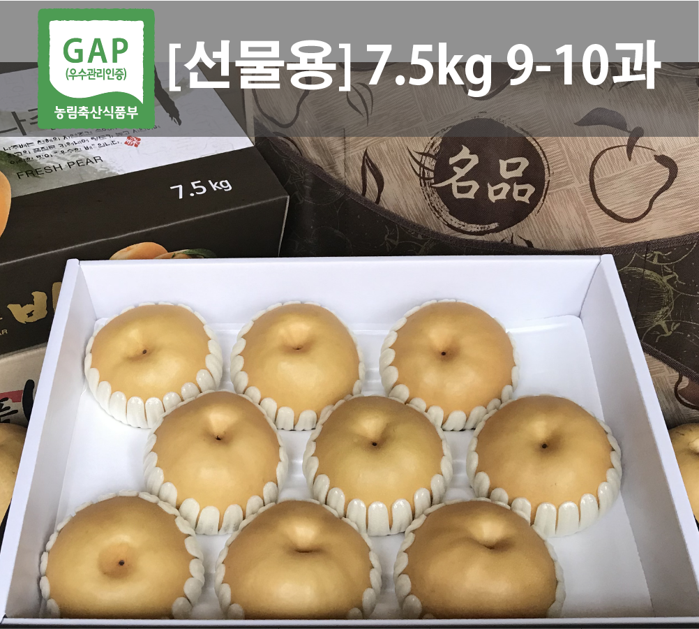 나주배 5KG 7.5KG 15KG 선물세트 가정용 신고배 추황배 : 서강농원 나주배농장