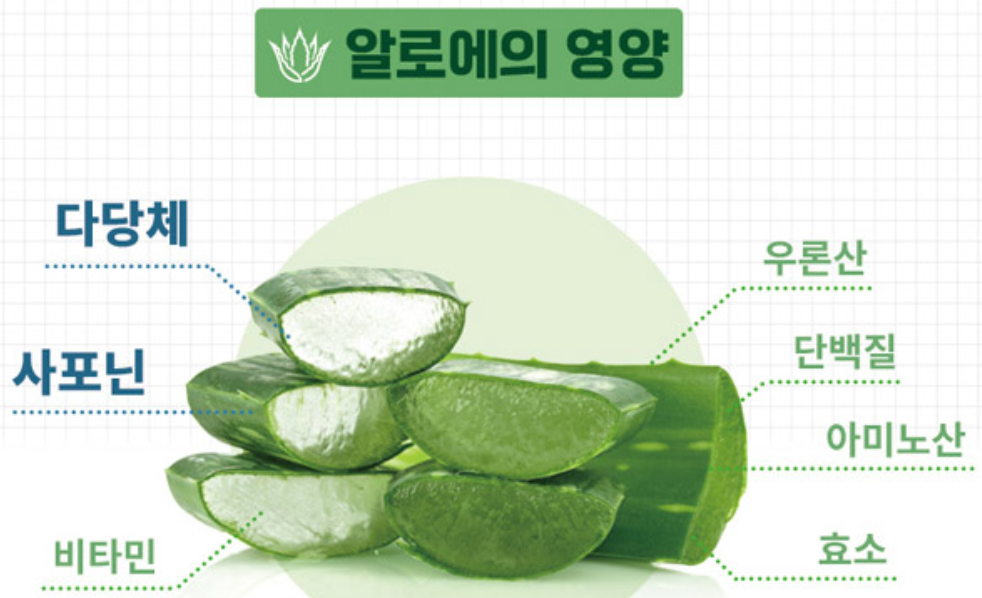(추석플러스)하이리빙 제주알로에 하영(20gx30포)4+1-젤타입 효소다당체 사포닌 풍부 : 하이리빙통합마트