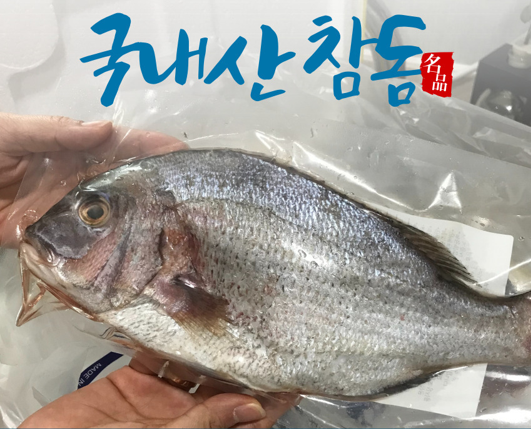 여수돌섬
