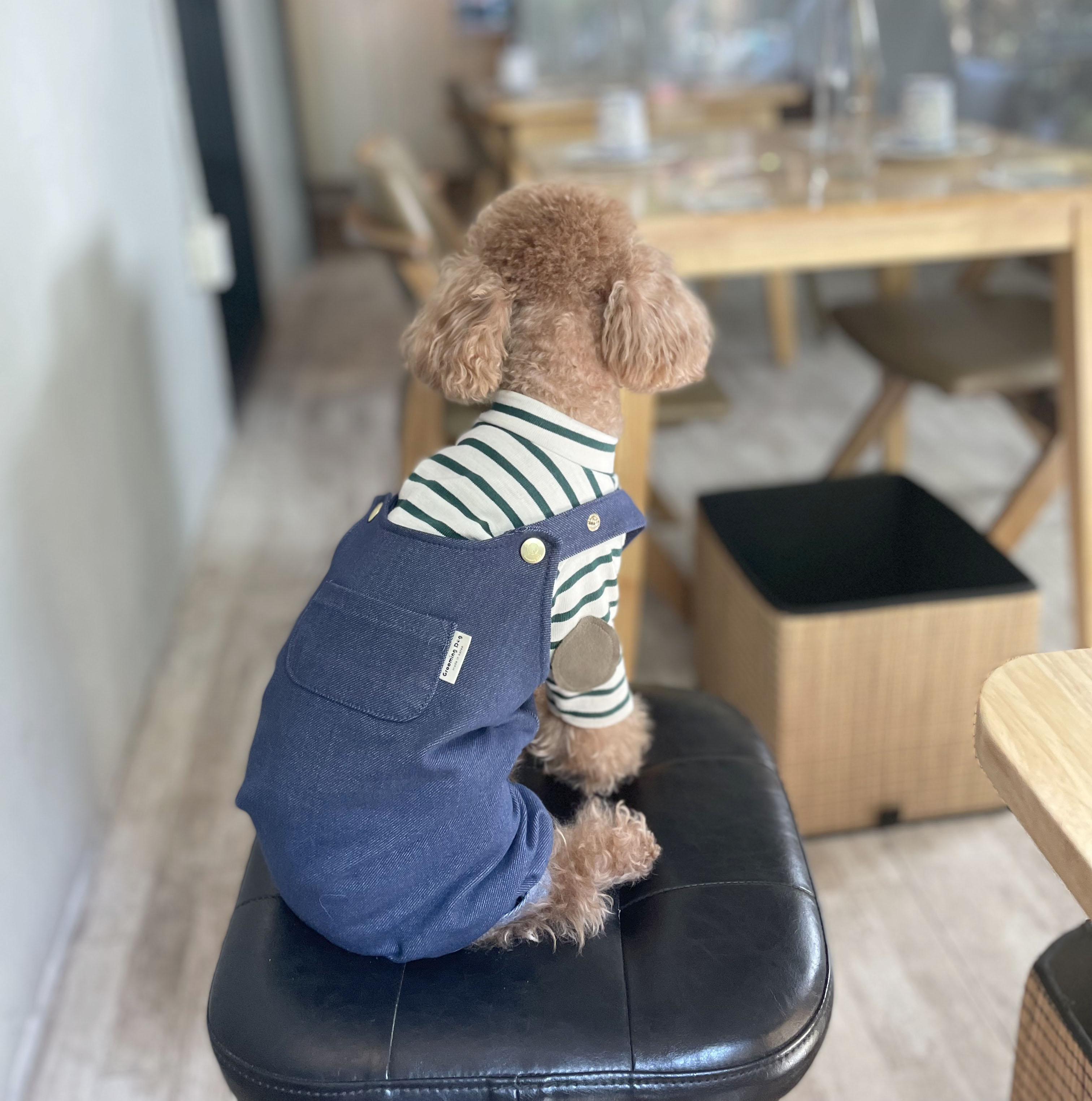 댕댕츄 강아지옷 포켓 롤업 데님 청멜빵바지 S-2XL : 댕댕츄