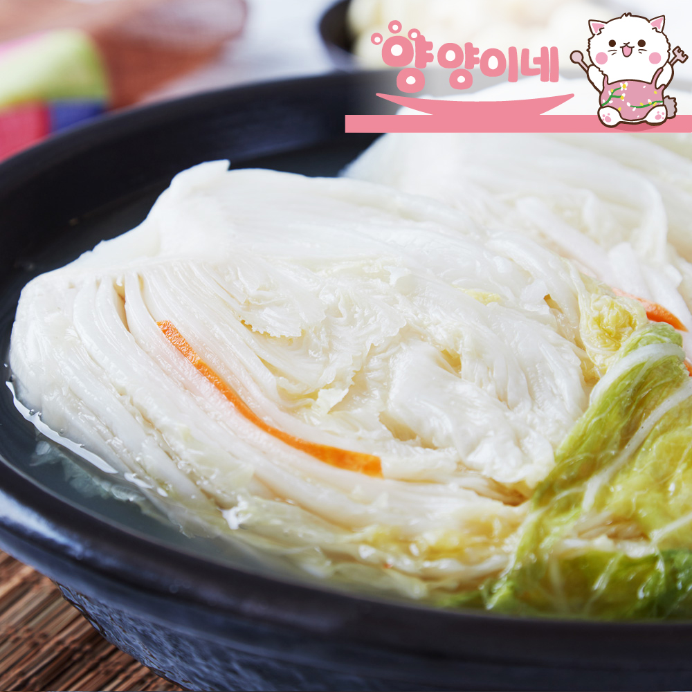 [양양이네] 전통을 담은 맛, 국산 백김치 안매운김치 : 양양이네식탁