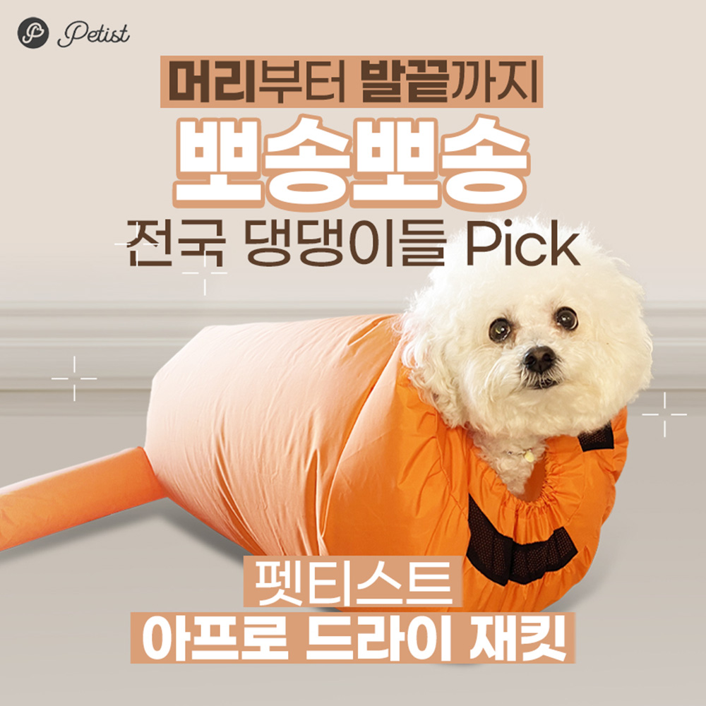 아프로 강아지 고양이 드라이자켓 애견 드라이룸 : 하우리브