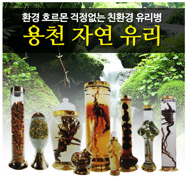 [용천자연유리]담금주병 과실주병 술병 유리 샤론주방 : 샤론주방