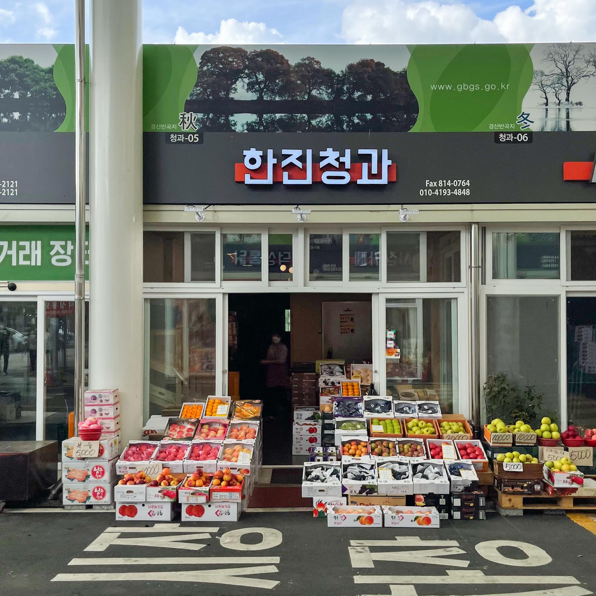 [경산시 배달] 상큼함 가득 자두 1kg [경산공설 한진청과] : 동네시장 장보기