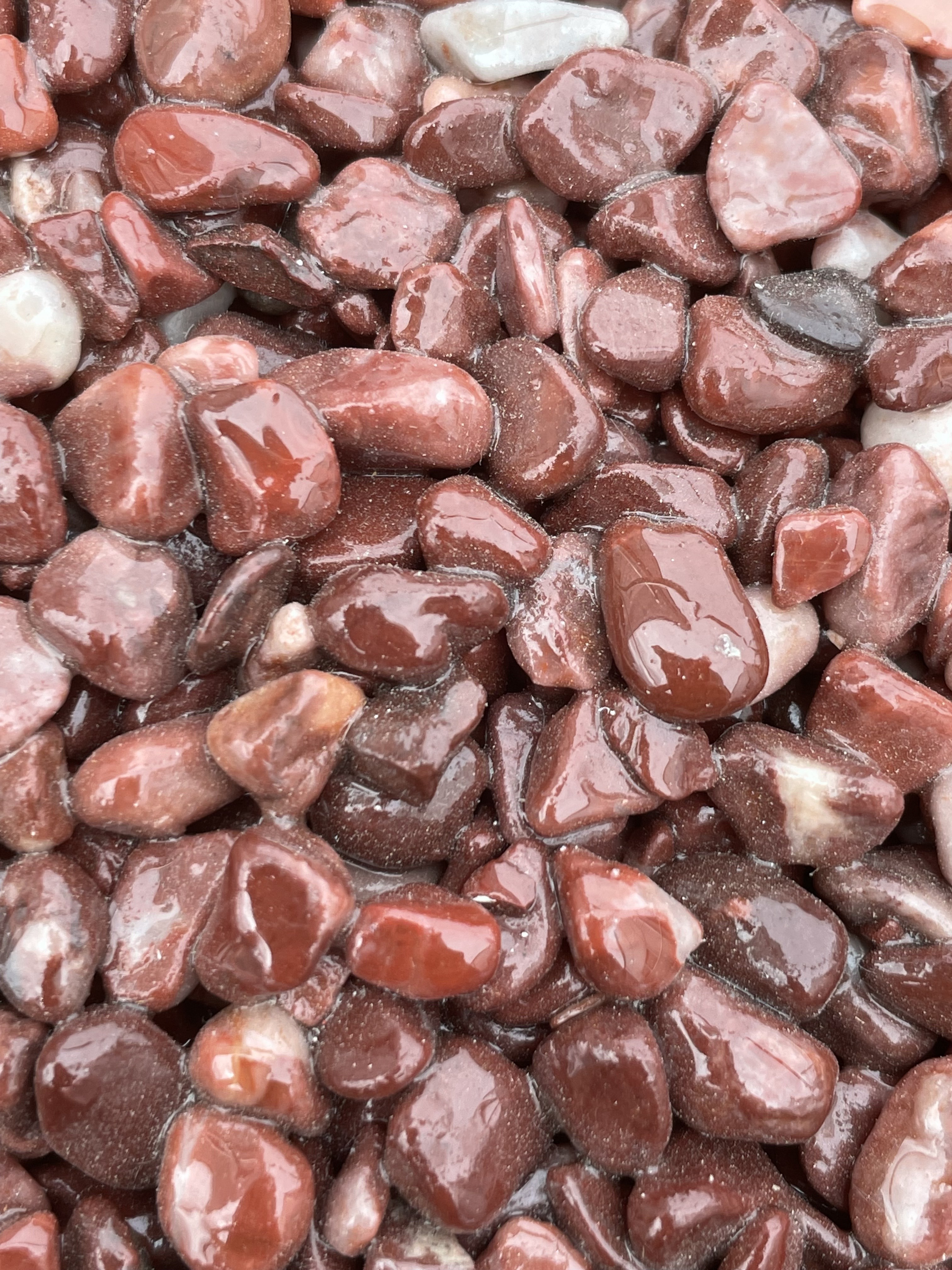 콩자갈 20kg 5-8mm 어항돌 조경자갈 원예 바닥시공 에폭시 : 플로어 리