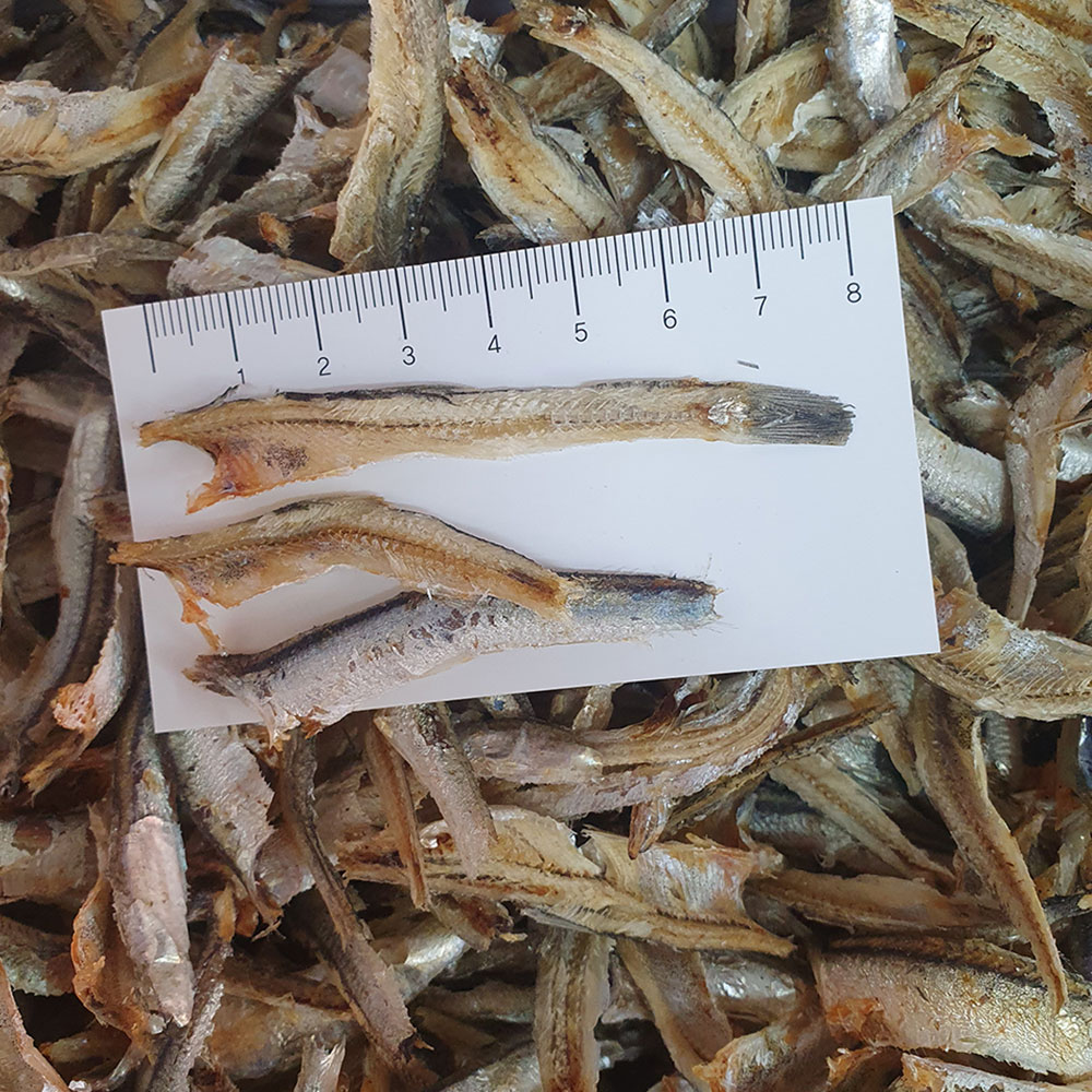 건통령 깐멸치 간편한 손질멸치 1kg : 건통령