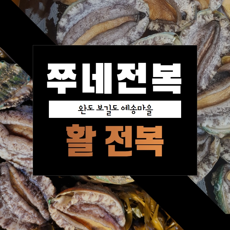 완도 보길도 예송마을 활전복 10미 : 완도 쭈네전복