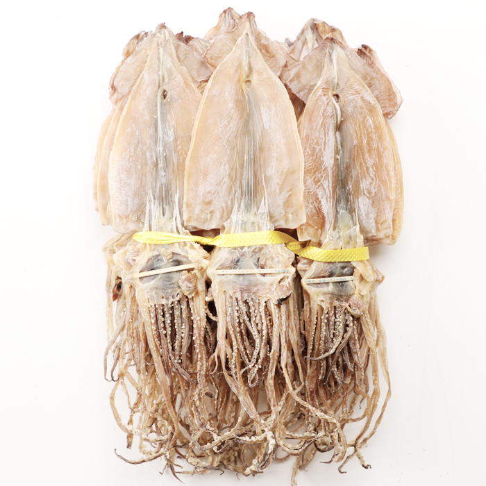 동해안 마른오징어 10미(400g 내외) 부드러운 건오징어 말린오징어 : 백송식품