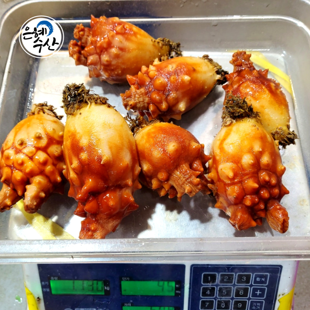 제철 통영 활멍게1kg : 은혜수산몰