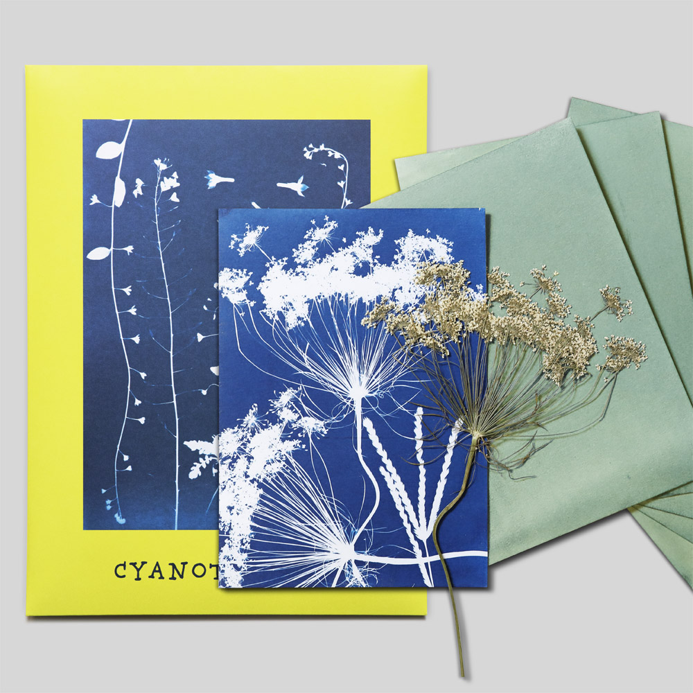 시아노타입 키트, 시아노타이프 키트, 청사진 만들기, cyanotype kit, blueprint, sunprint : 호랑이의 정원