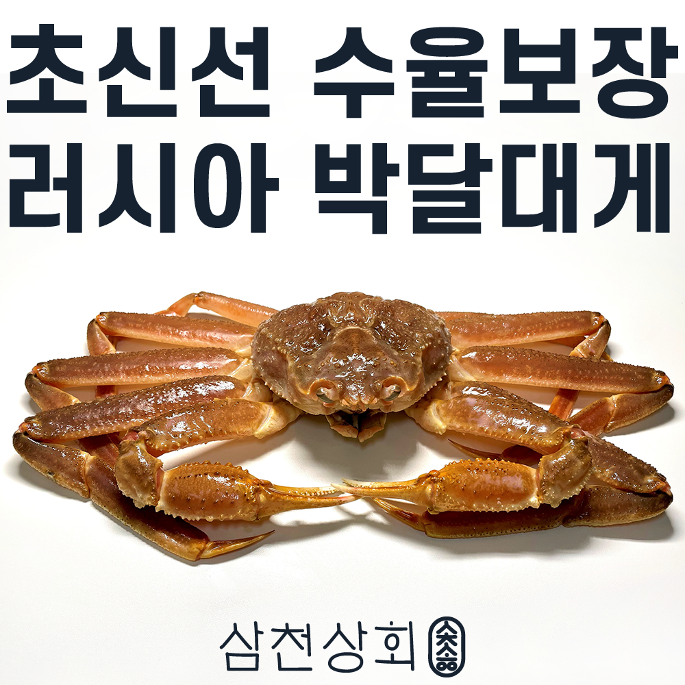 러시아 박달 대게 스노우크랩 활 자숙 1kg 시세 : 산지직송 삼천상회