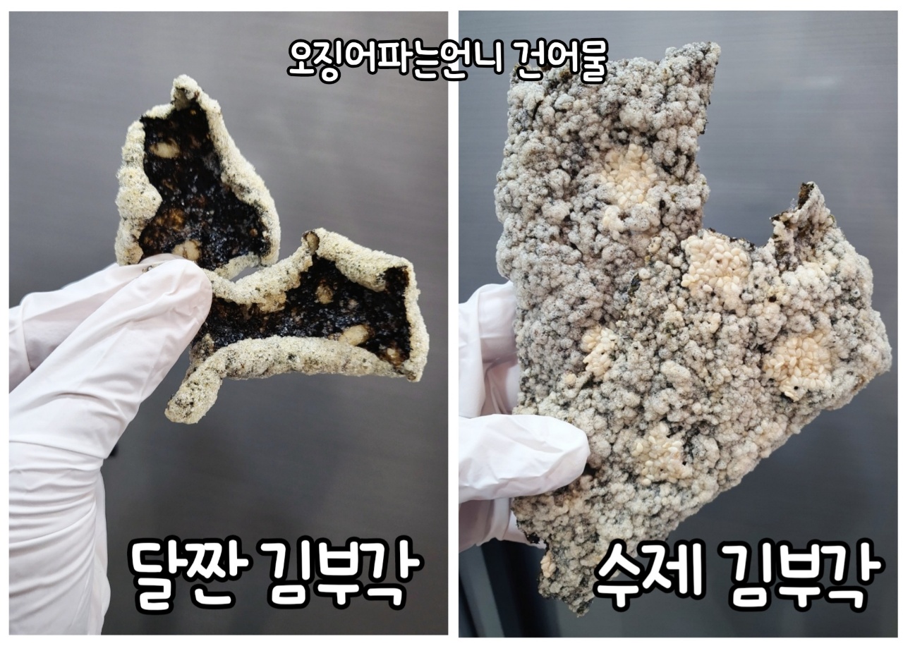 [ 김부각 ] 오징어파는언니 본점 군산건어물 오징어파는언니 선물세트 추천 : 오징어파는언니 군산본점