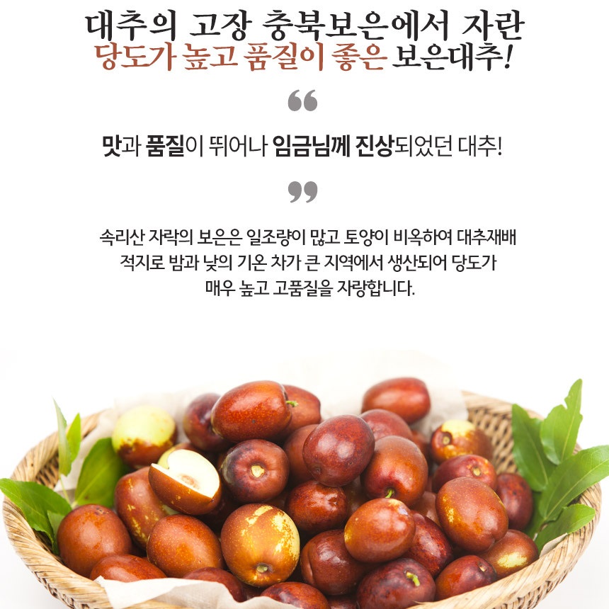 햇대추 보은 대추 1kg 보은 생대추 대추과일 왕대추 : 리치애플