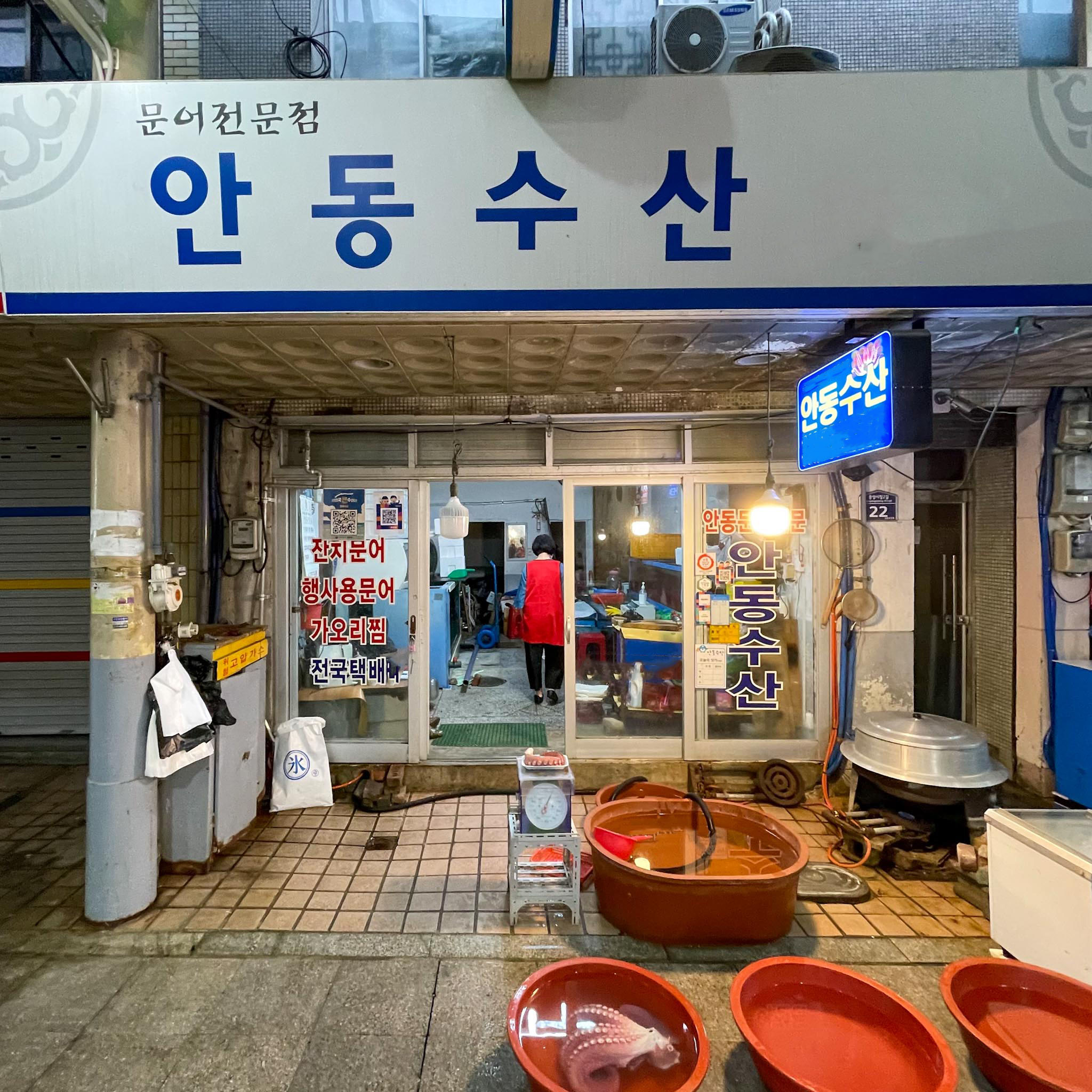 [안동시 배달] 쫀득탱탱한 문어 500g [안동중앙 안동수산] : 동네시장 장보기