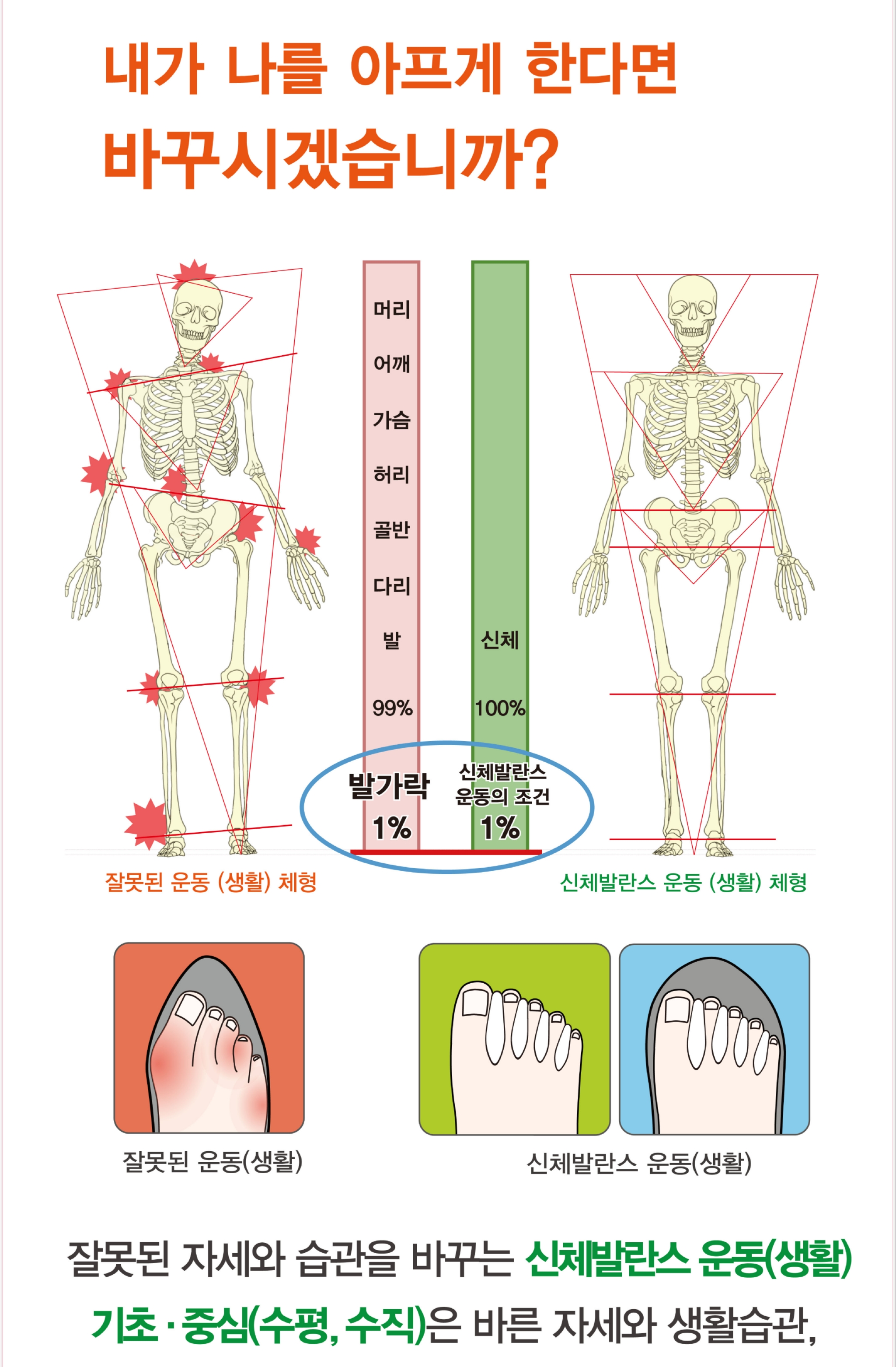 손테석발가락운동용구 파워발란스 : 발가락운동용구