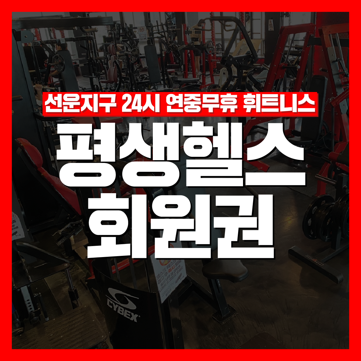 [평생헬스/광주 선암동] VIP 회원권 : 평생헬스