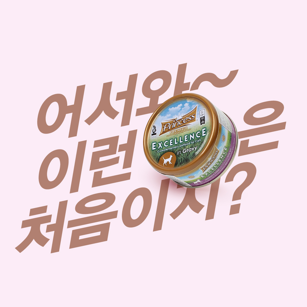 프린세스캔 프리미엄 엑설런스 70g 치킨튜나앤흰살생선 고양이 습식캔 : nanaharu