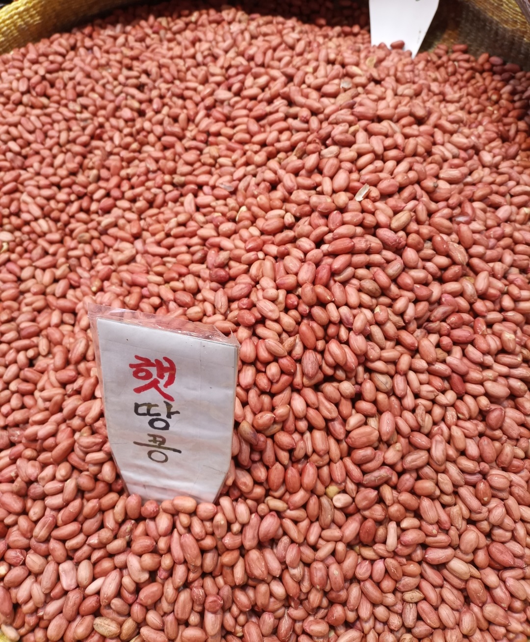 국산 볶음땅콩 1kg 2024년산 올해 첫수확 햇땅콩 볶은땅콩 알땅콩 : 한양상사몰