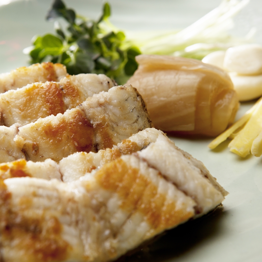 새벽장어 국산 자포니카 풍천 민물장어 1kg 손질 후 700g HACCP : 새벽장어