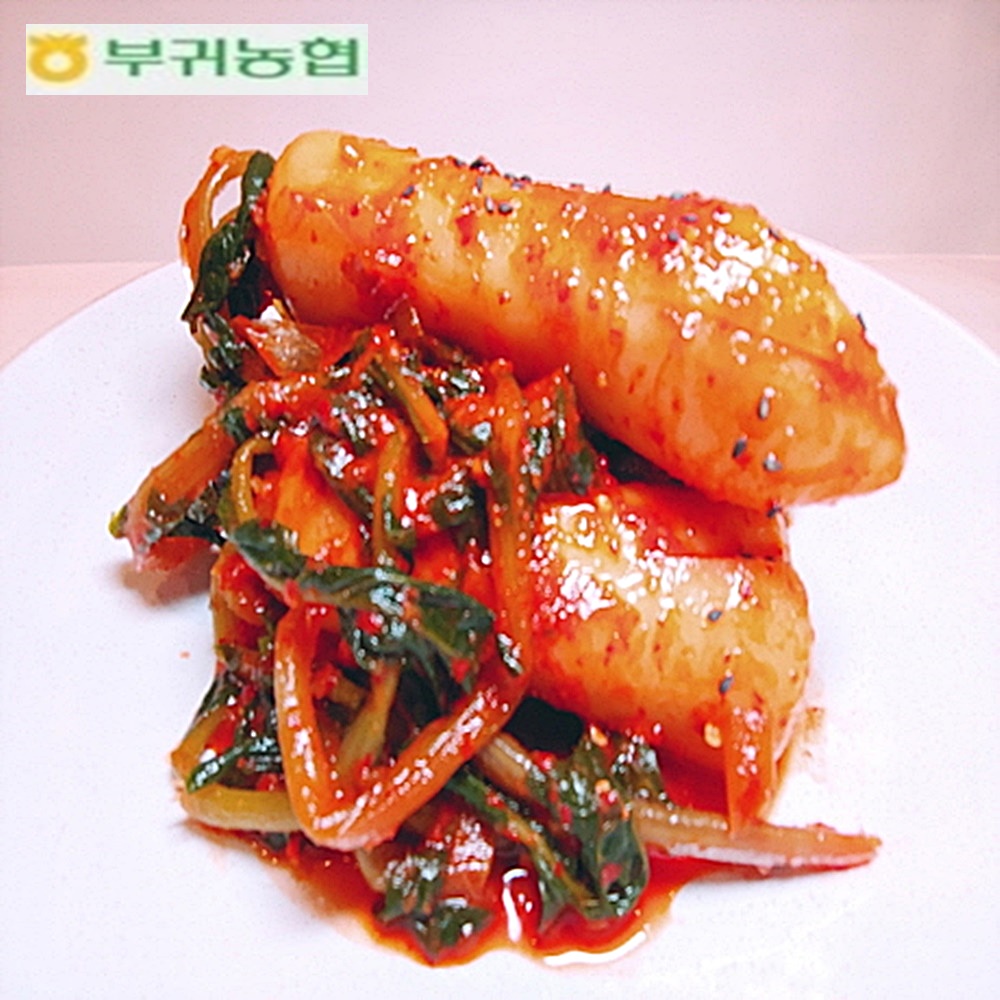 한국농협김치 부귀농협 마이산김치 묵은지 포기김치 총각김치 파김치 국내산100%재료 : 한국농협김치 마이산김치전북