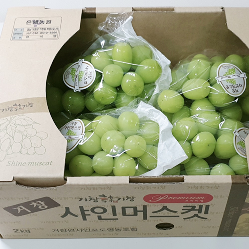 내츄럴 샤인머스켓 성장촉진제 사용하지않은 샤인머스캣 2kg : 워커하이브