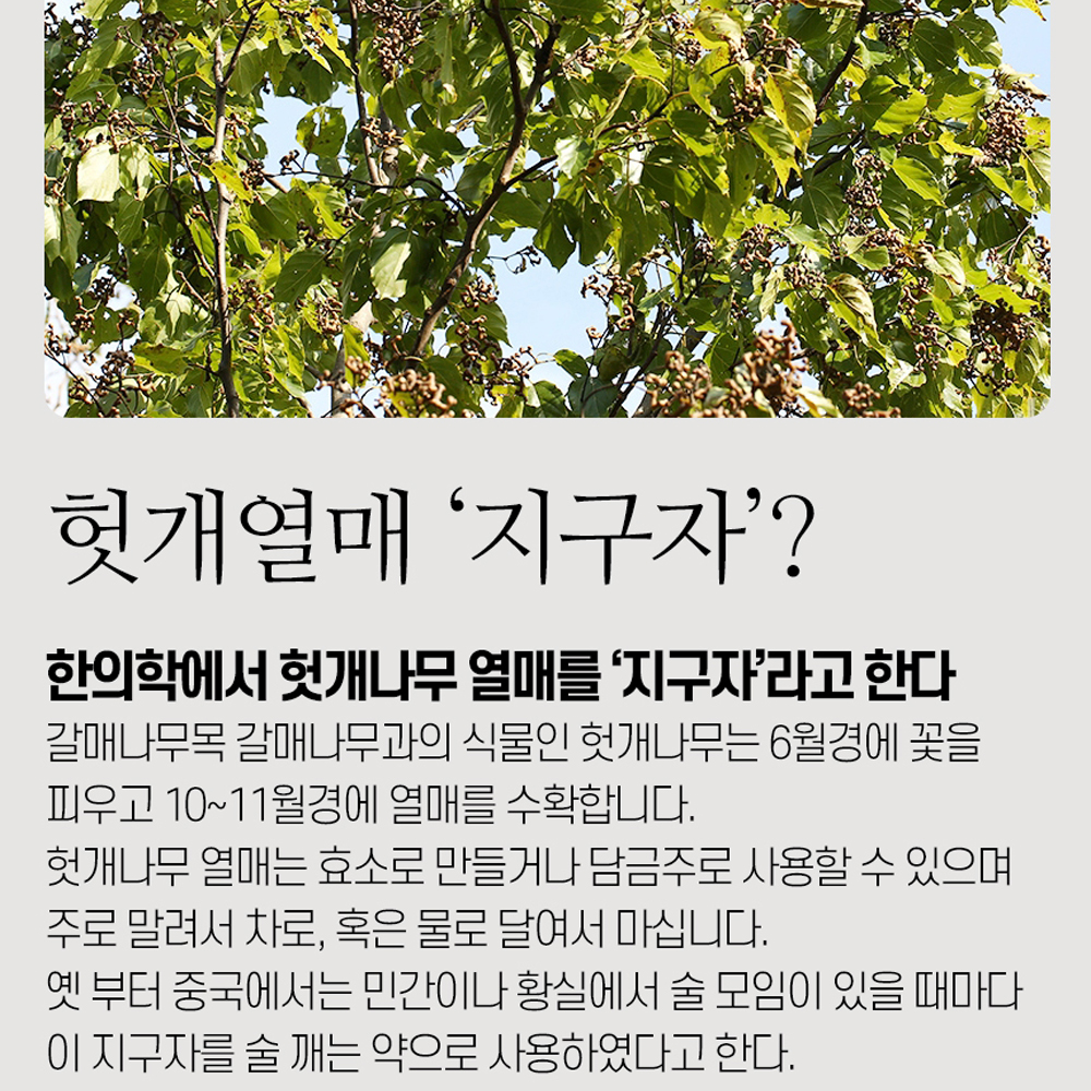 지구자 건지구자 헛개 헛개열매 500g 말린 건재 한방재료 : 스마트초이스M