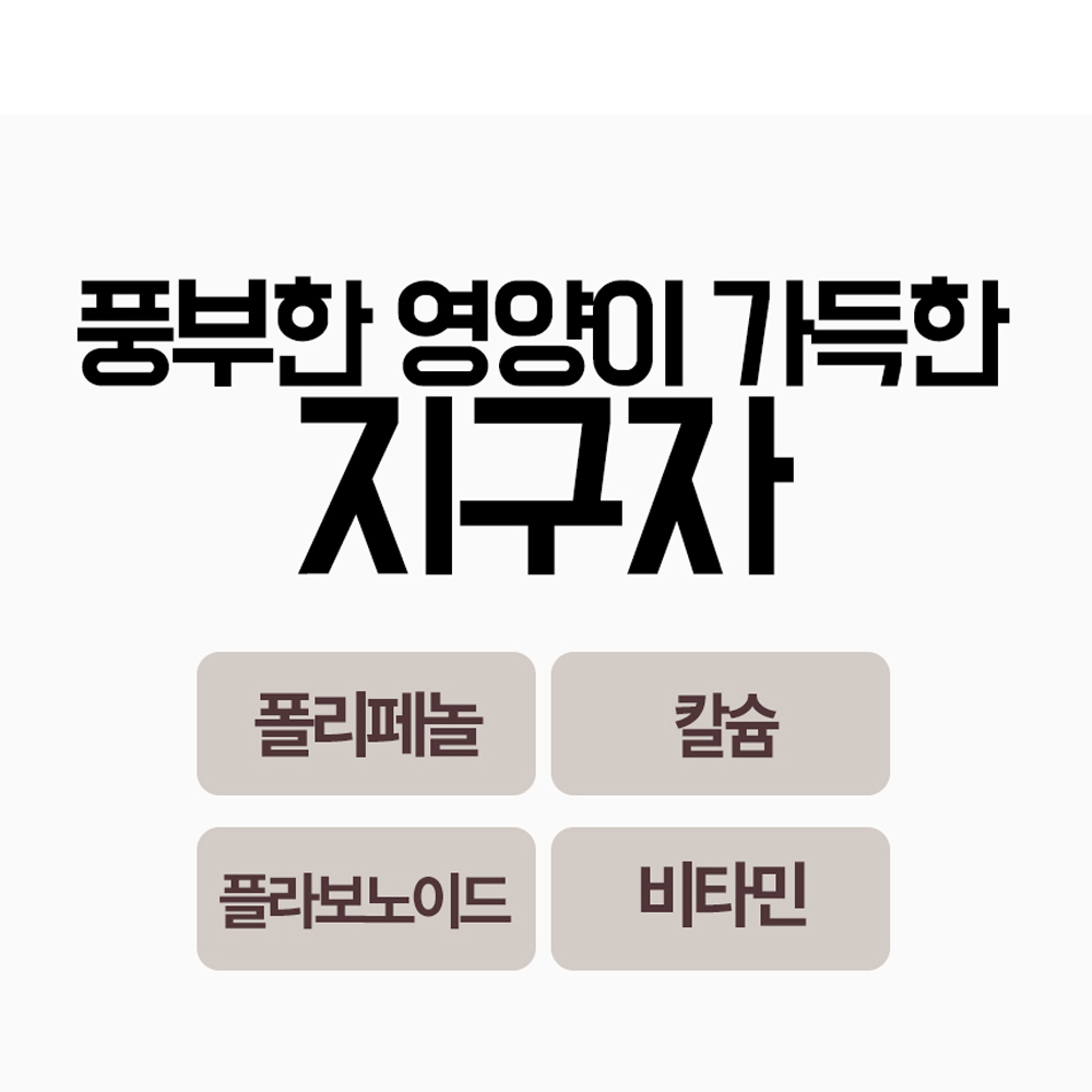 지구자 건지구자 헛개 헛개열매 500g 말린 건재 한방재료 : 스마트초이스M