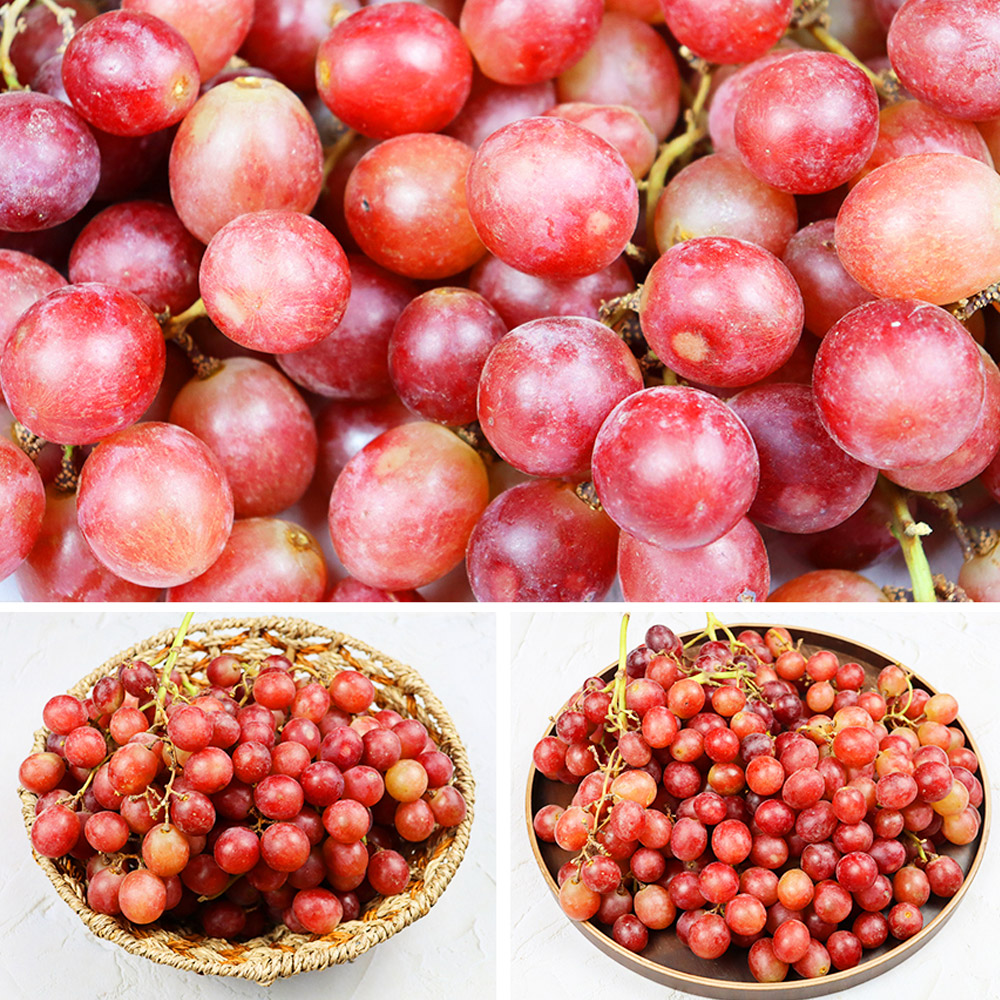 껍질째먹는 씨없는 고당도 크림슨포도 1kg 2kg : 미리내티씨