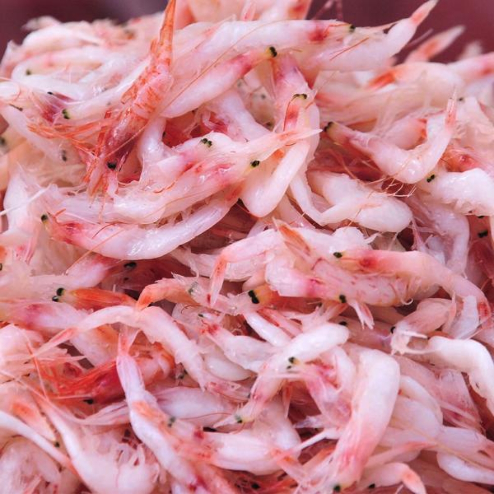 맛있는 국산 광천 토굴 새우젓 추젓 육젓 천일염 염장 가을 김치 김장 새우 젓갈 1kg : 디원마켓