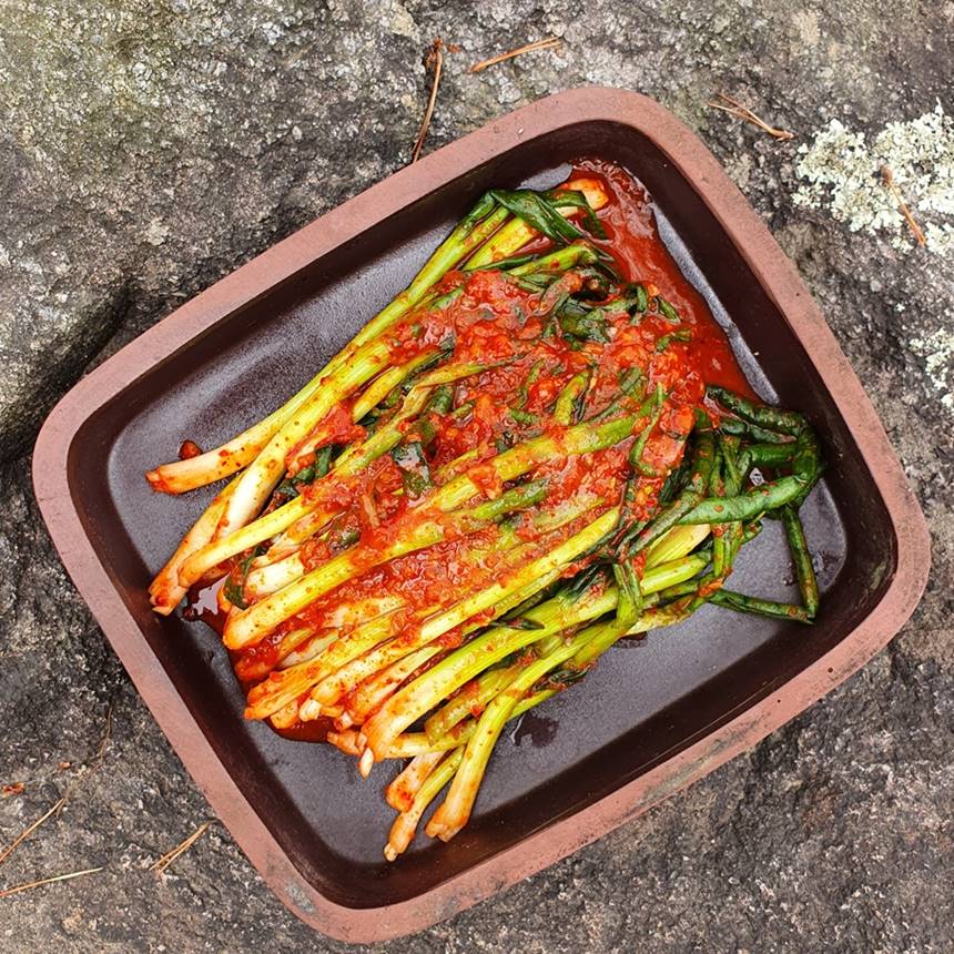 호랑이김치 전라도 파김치 쪽파 실파 1kg (당일생산) : 호랑이장터 농업회사법인