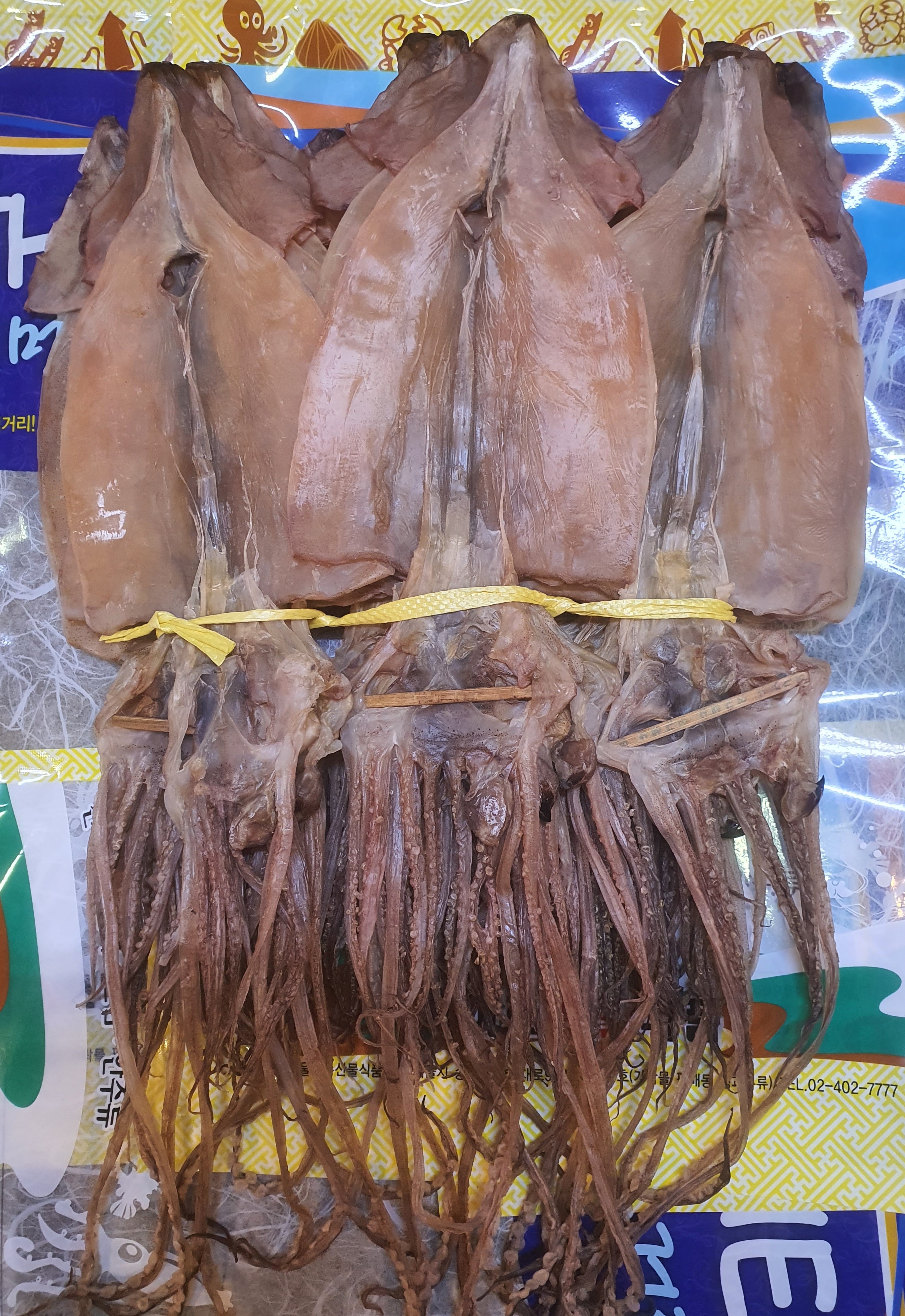 마른오징어 1.5kg 20마리 1축 당일바리 국내산 : 더 조은 대호건어물종합식품