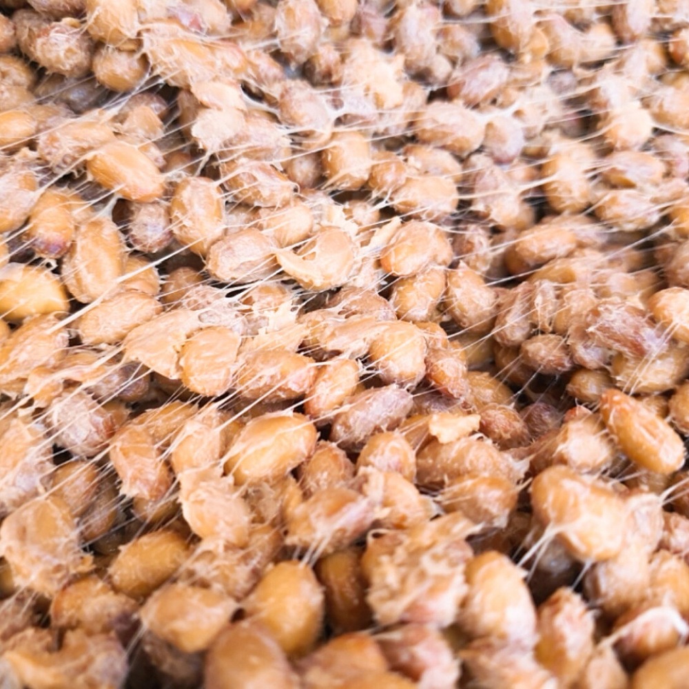 국산콩 100% 꾸지뽕 청국장1kg 의령박서연 : 의령손맛본가