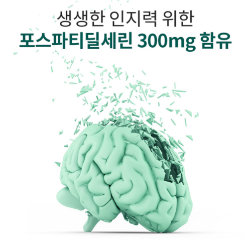 엔젯오리진 포스파티딜세린 징코 800 뇌 영양제 기억력개선 60캡슐 (30캡슐x2) : 온나위시