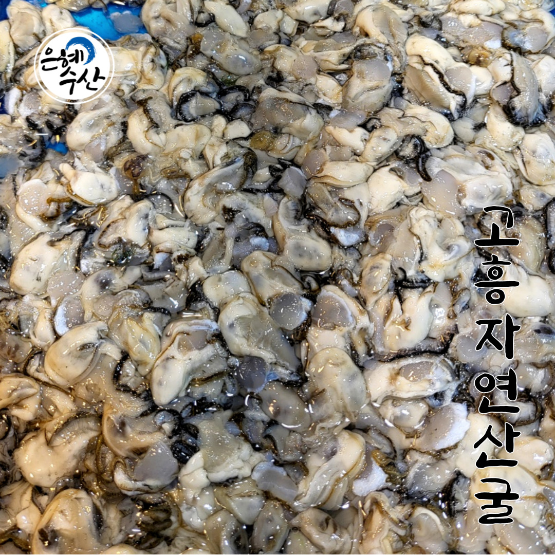고흥산 자연산 굴 400g / 굴회 깐굴 굴도소매 겨울제철굴  : 은혜수산몰