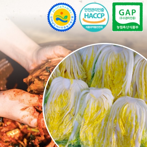 [전남도지사인정 HACCP/GAP 농산물] 해남 절임배추 20kg 예약판매 : YK마트