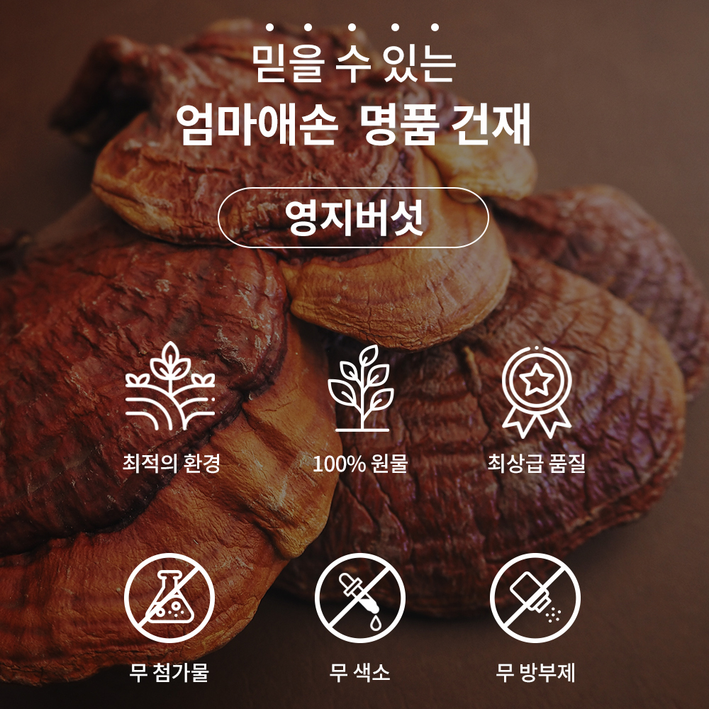 영지버섯 영지버섯효능 끓이는법 자연산 주 물 야생 국산 국내산 500g : 스마트초이스M