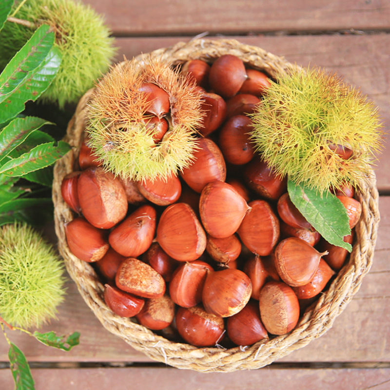 토실토실 알찬 무농약 순창 햇밤 알밤 칼집밤 옥광밤 1kg : 지음