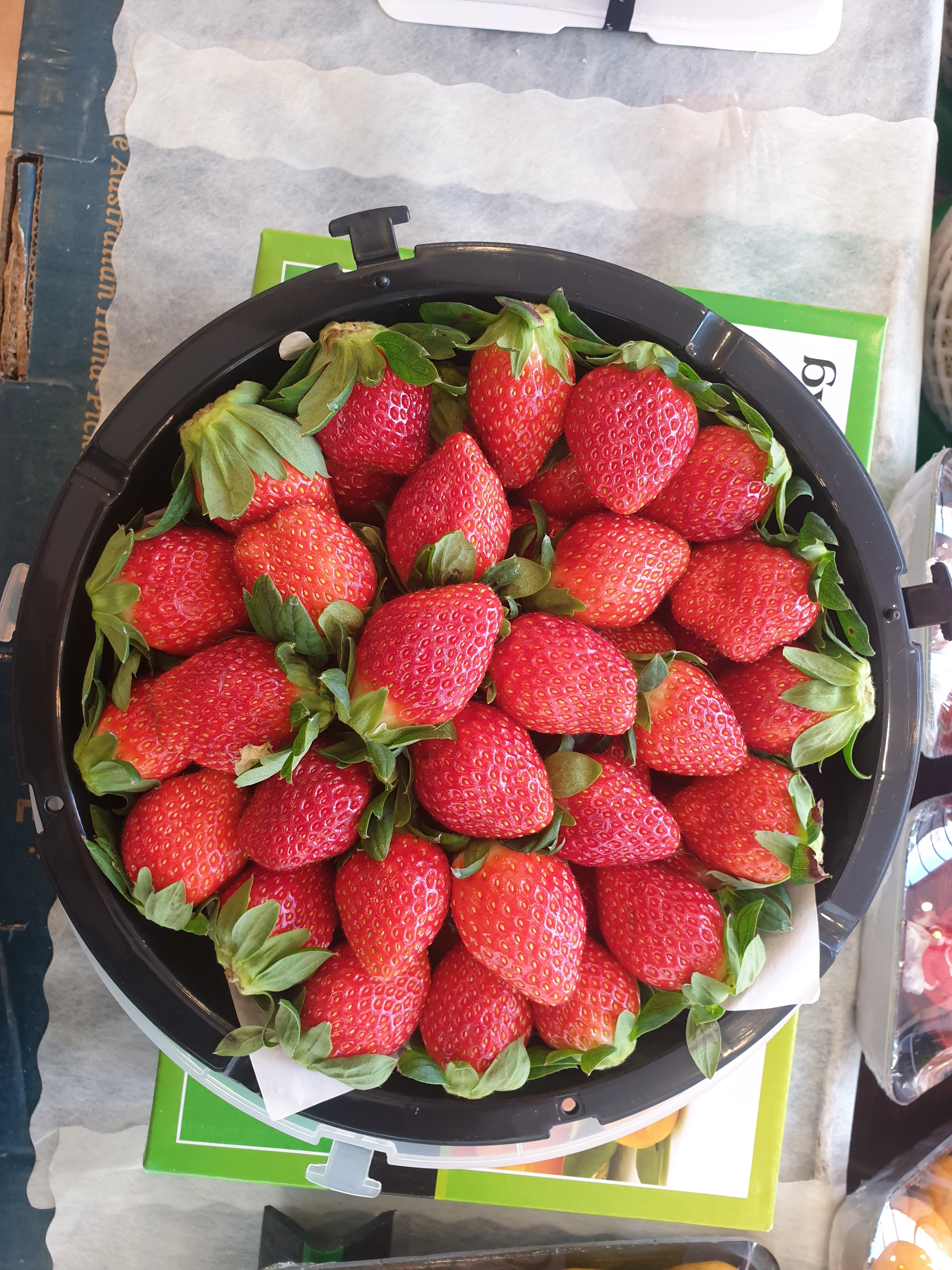 당일새벽 아침딸기 금실 설향 죽향 500G ,1KG : 세상달콤36.5brix