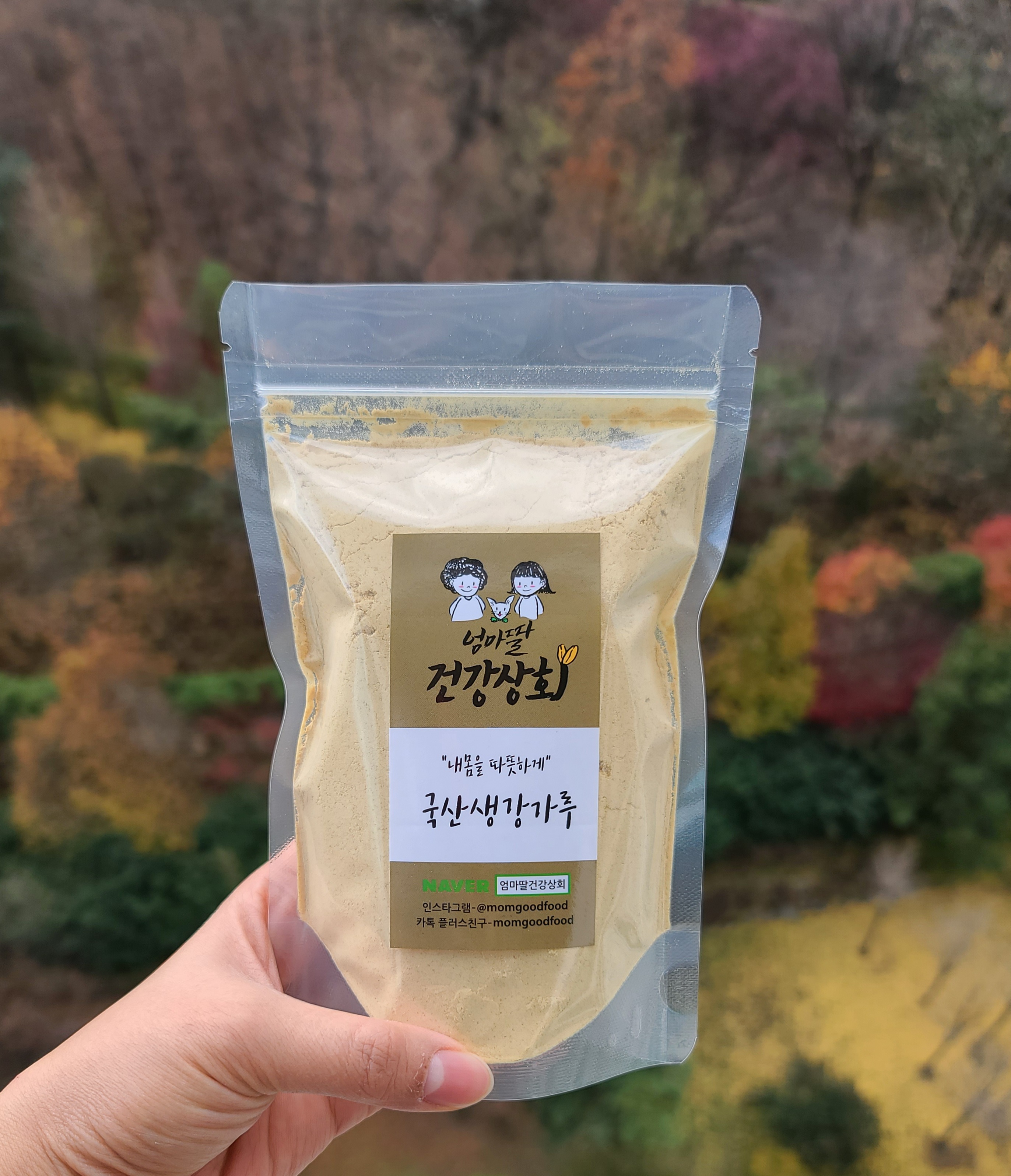 국산 생강가루 진저생강라떼 말린생강분말 200g : 엄마딸건강상회