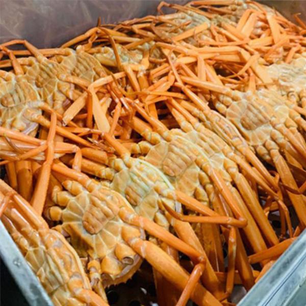 호호농수산 프리미엄 자숙홍게3kg(8~12미) : 피쉬세일