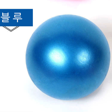 미니 짐볼 홈트 펌프 세트 요가 공 마사지 필라테스 짐 볼 25cm : 온.쇼핑