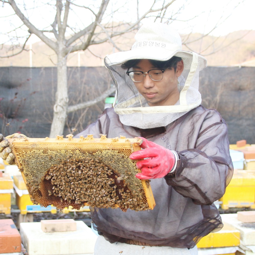 이삭꿀송이 천연 벌꿀 스틱 12g 30포 아카시아 꿀 선물세트 : 이삭꿀벌농원