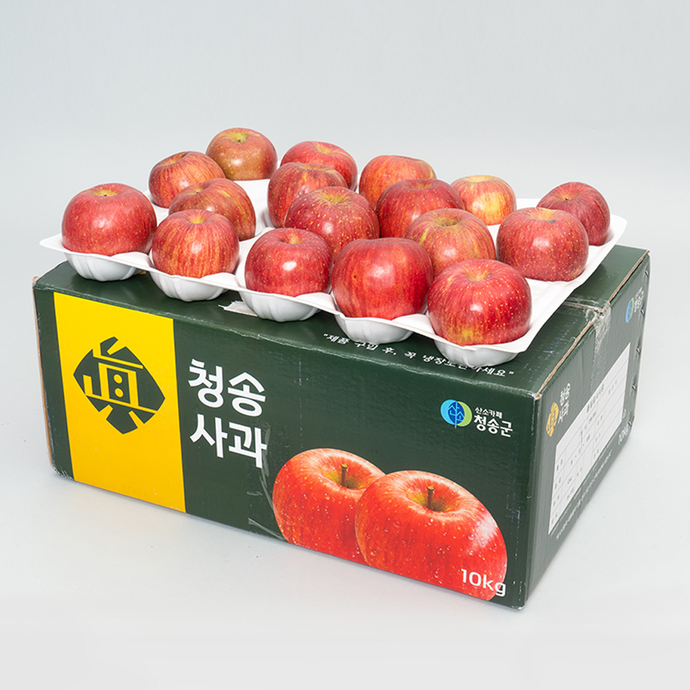 2024 청송큰집농원 청송 사과 햇 부사 흠과 못난이 5kg 10kg : 청송큰집농원