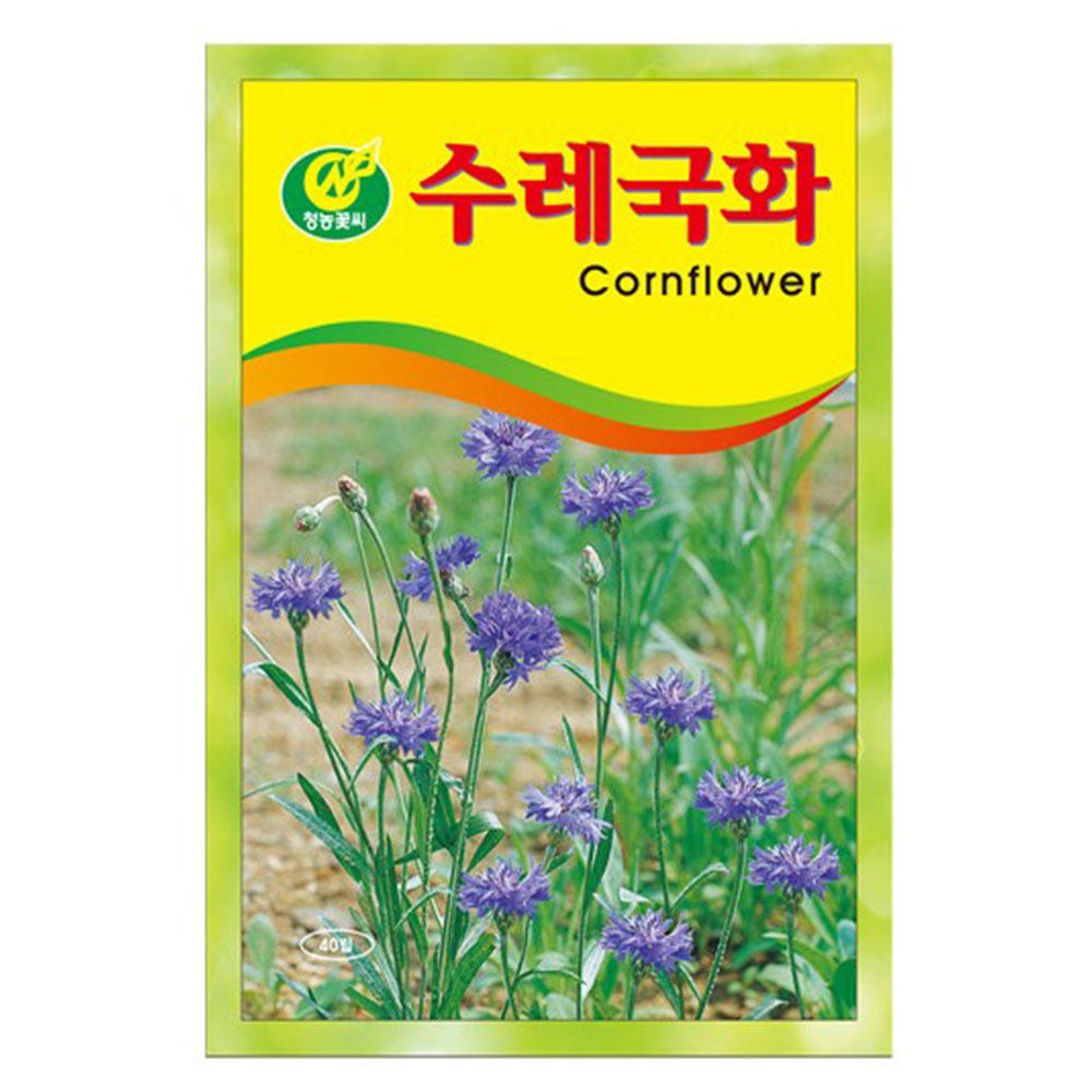 수레국화 꽃씨앗 꽃씨 40립 : 톺TOP