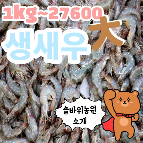 솔바위