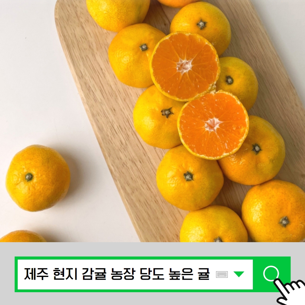 맛있는 당도 높은 제주 감귤 하우스 타이벡 싱싱한 명품 귤 10kg 농장 택배 : 디원리빙