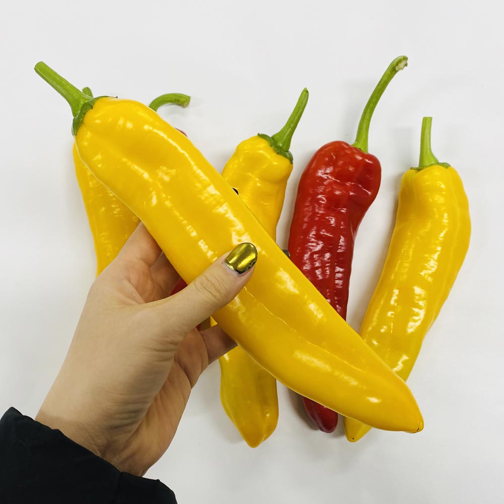 국내산 맛있는 롱스위트 파프리카 1kg : 산정마을