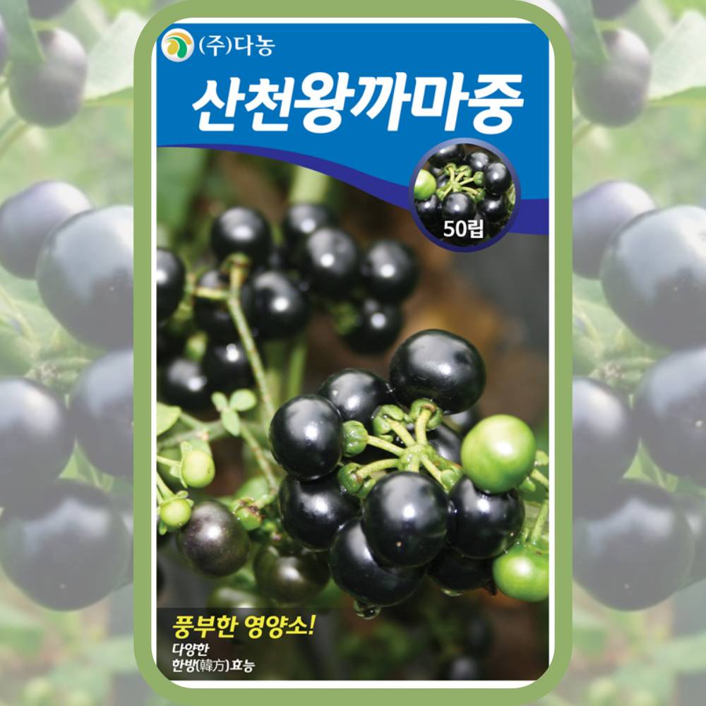 까마중씨앗 깜두라지종자 50립 가마중 까마종 블랙나이트쉐이드 blacknightshade : 주주씨앗