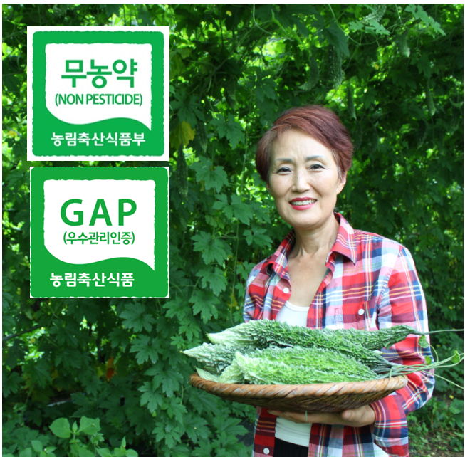 당하루 무농약 건여주 500g 국내산 말린여주 여주차 : 하리네농원
